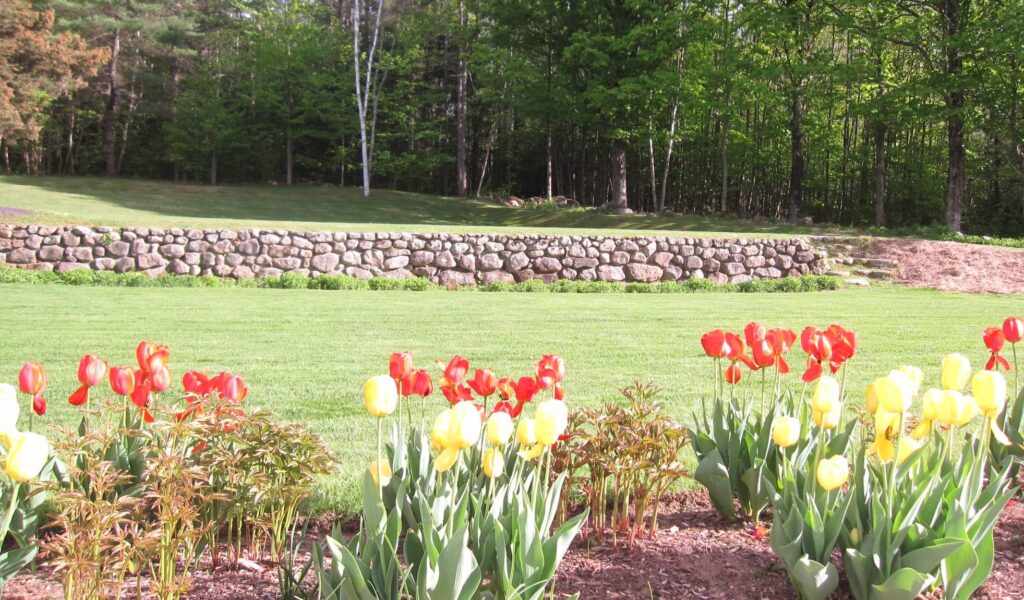 Lower-Lawn-Tulips-Rental-in-New-Hampshire